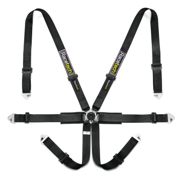 Pro International 6-Point Harness